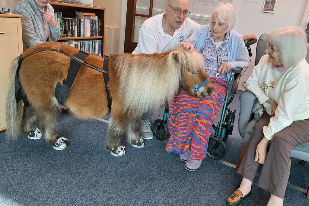 Glencairn House Care Home - Activities